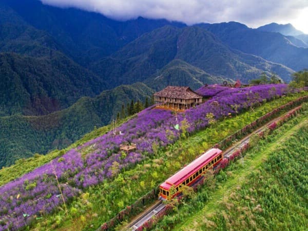 Muong Hoa Valley Trekking Route - © gather