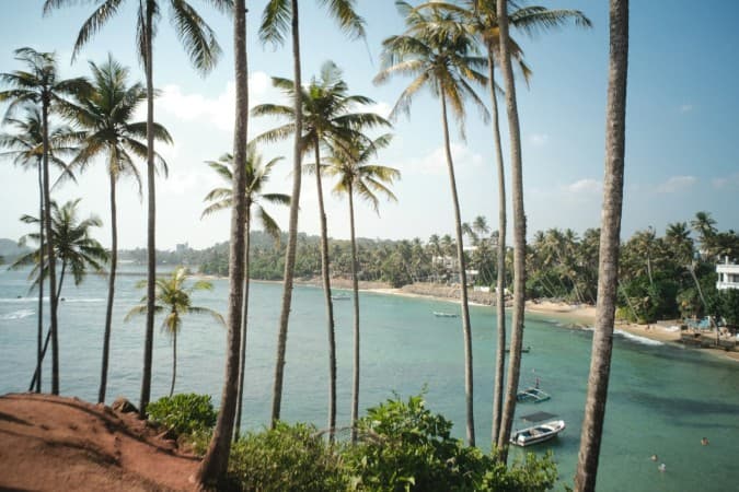 Preserving stilt fishing is preserving Sri Lanka's cultural heritage