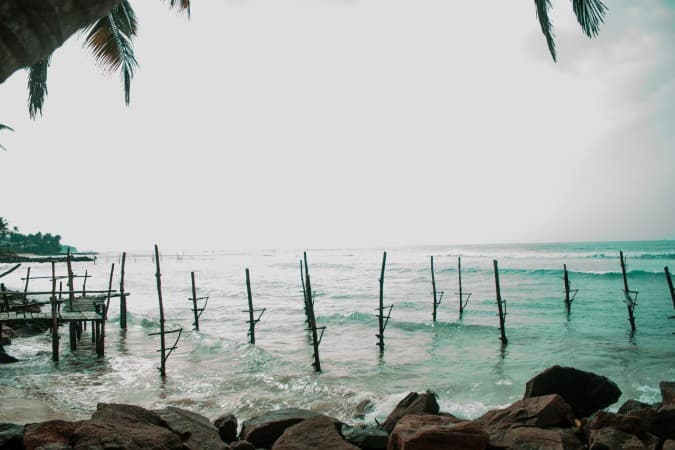 Stilt fishing helps protecting marine life along Sri Lanka's coast