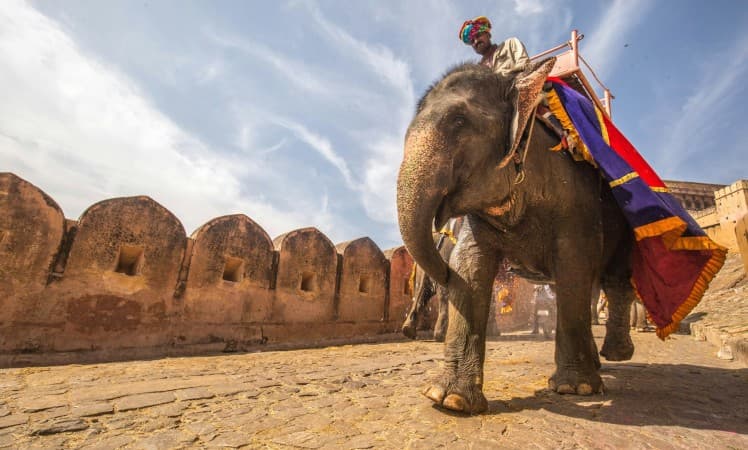 India's Top 12 Treks: A Journey Through Diverse Landscapes and Cultures