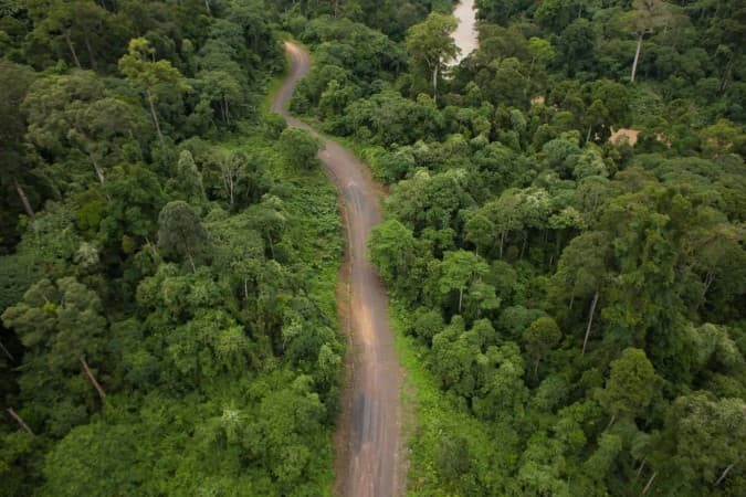 Sukau Rain Forest by Natural World Safaris