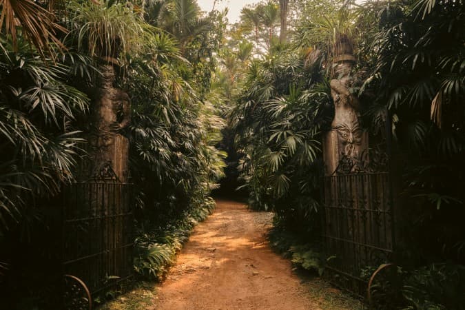 Brief Garden by Birendra Padmaperuma