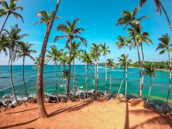 Coconut Tree Hill in Mirissa by Dinuka Lankaloka