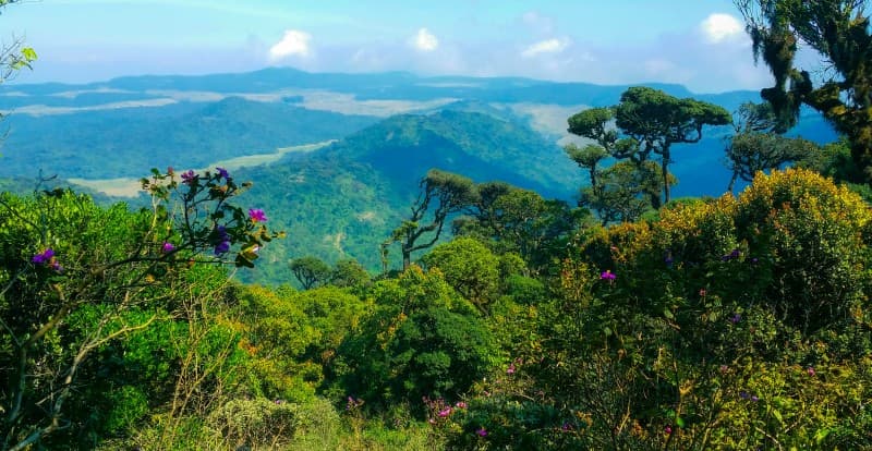 Nuwara Eliya Season by Ishan Kahapola Arachchi
