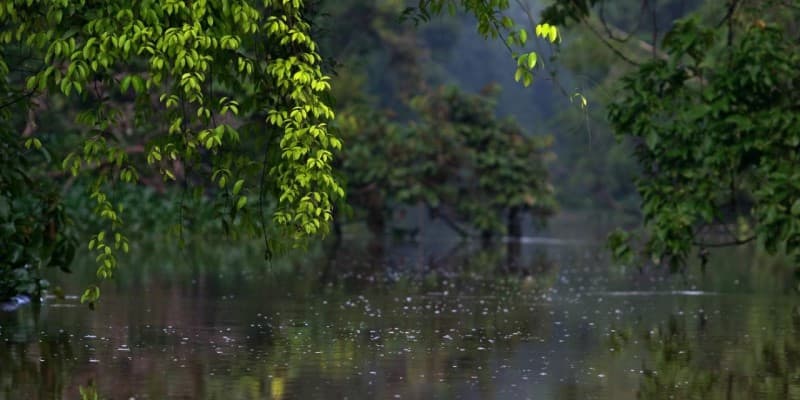 Kinabatangan River Safari by TNT Magazine