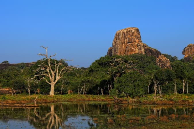 Clear day in Yala National Park by Natasha Yurova