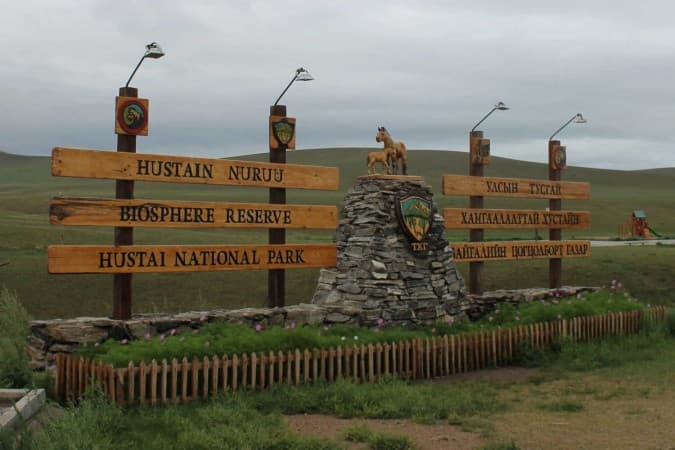 Activities in Hustai National Park - © Jenny Sandiford