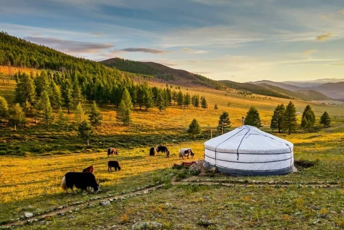 Yurt camp among Mongolian nature