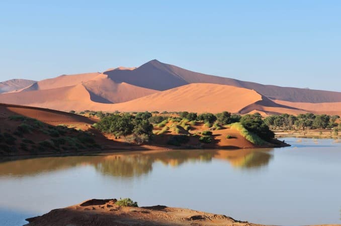 Oasis in the desert